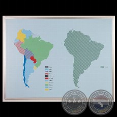 ZOODAMERICA, 2001 - 2011 - Dibujo vectorial de CLAUDIA CASARINO